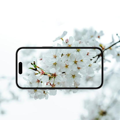 Anank AR Back Camera Protection Film for Apple iPhone 17 Air, Tempered Glass, Multicolor